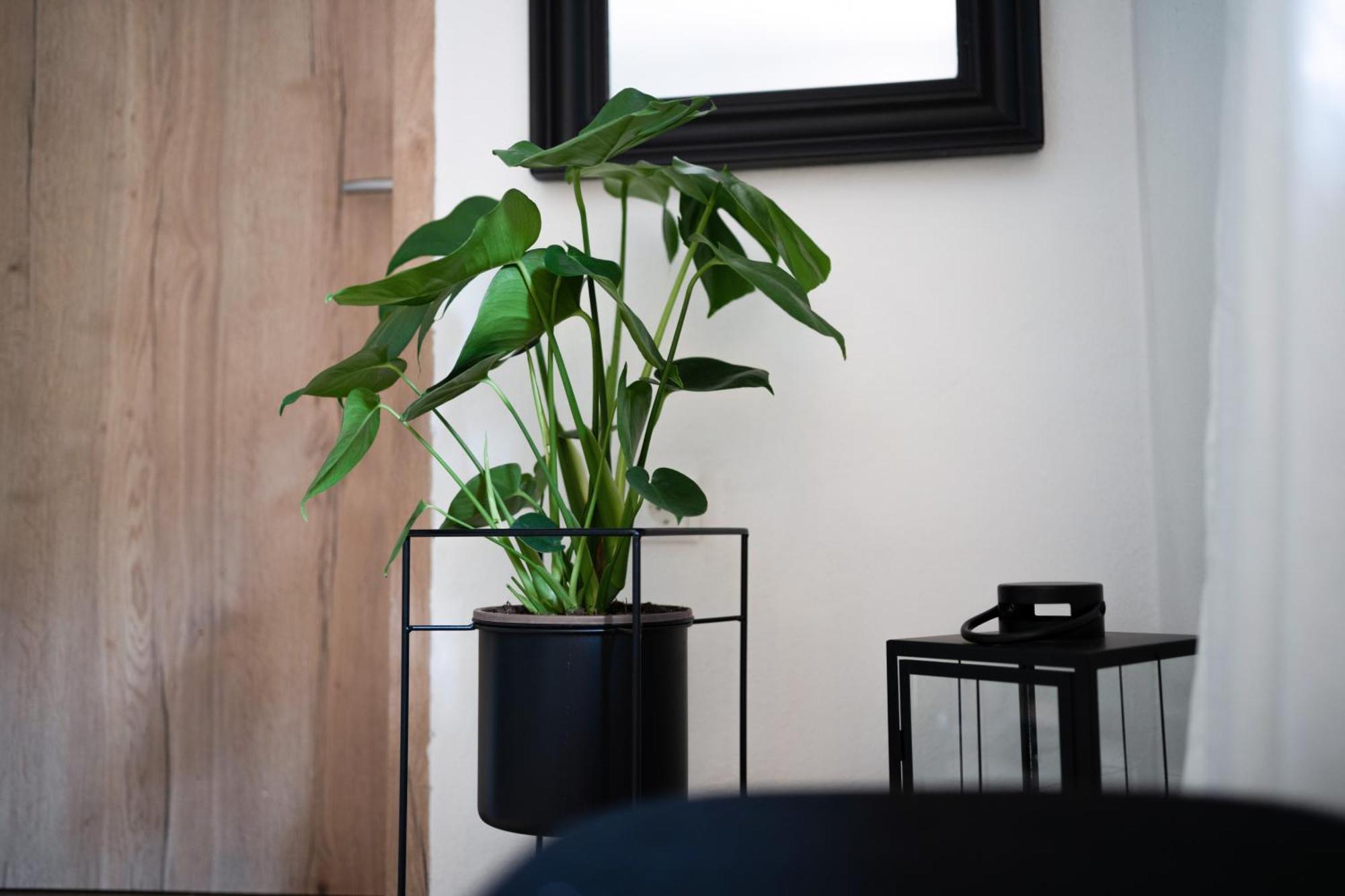 Ferienwohnung Am Siglhof ซาแมร์แบร์ก ภายนอก รูปภาพ